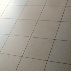 Viktoria Koeva, Санкт-Петербург