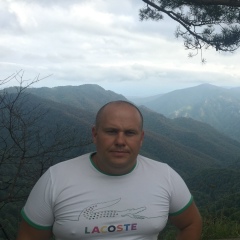 Дмитрий Токарев, Санкт-Петербург