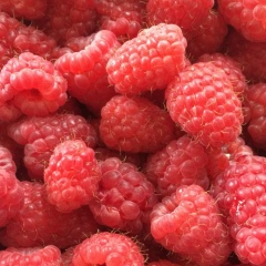 Лена Прокопова, 20.10, Москва