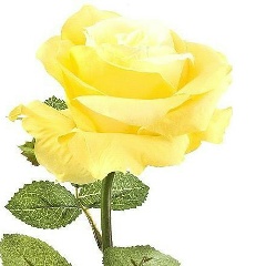 Анастасия Унт, 10.09.1990, Таллин