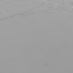 Светлана Варбузова, Москва