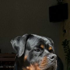 Елена Игнатова, 02.11, Новочеркасск