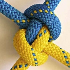 Евгений Семенчук, 20.11, Желтые Воды