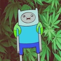 Альберт Фредер, Киев