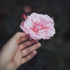 Ардак Искакова, 22.07, Атырау