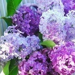 Руфия Фардиева, 21.05.1985, Казань