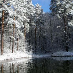 Александр Виниченко, Одесса