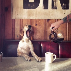 Рома Потапенко, 14.03.1988, Москва