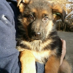 Нуржан Куванов, 06.01.2006, Алматы