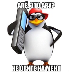 Аруай Бердикулова