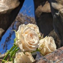 Евгений Левшин, 15.04.1985, Екатеринбург