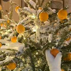 Анна Долматова, Белгород