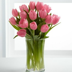 Ирина Островська, 03.12.1988, Томашполь