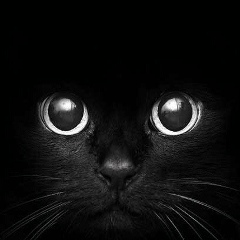 Юля Урывская, 04.05, Самара