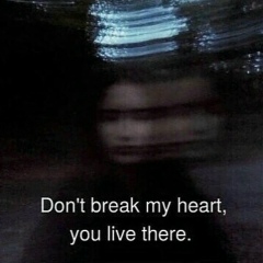 Протольл Пошпилить