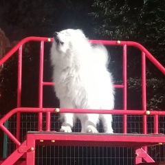 Василий Крамаренко, Москва