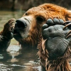 Павел Павел, Санкт-Петербург