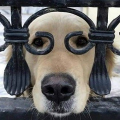 Янина Новицкая, Караганда