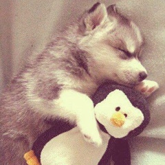 Маржан Кипшакбаева, 24.03.1988, Павлодар