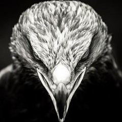 Bekzod Marufov, 19.07.1990, Санкт-Петербург