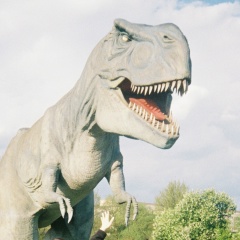 Анька Hurma, 24.05