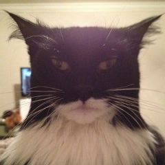 Егор Курганский, 05.06.1903, Казань