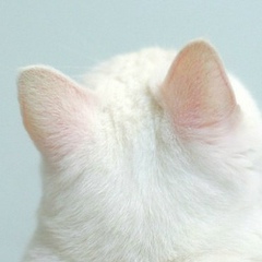 Маша Иванова, 23.12.1996, Санкт-Петербург