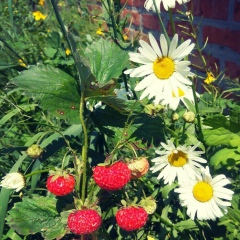 Анна Руденко, 01.10, Харьков