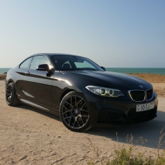 Риад Максимов