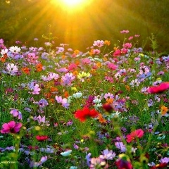 Тамара Бедарева, Саранск