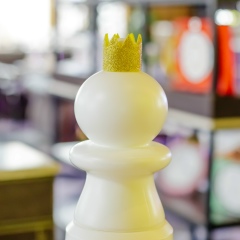 Ирина Гончарова, Ростов-на-Дону