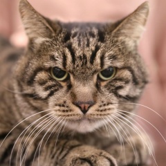 Елена Зирко, 13.03.1974, Санкт-Петербург