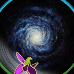 Akram Yusibov, 11.09.1987, Madrid