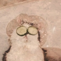 オリヤ コトバ, Самара