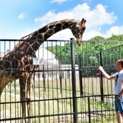 Борис Бутковский, 04.06.1983, Санкт-Петербург