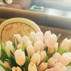 Анастасия Горохова, 26.06.1985, Москва