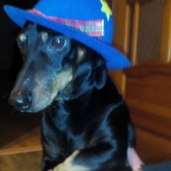 Андрей Федосов, 04.02.1972, Санкт-Петербург