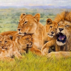 Ренат Гизатов, 01.10.1986, Уфа