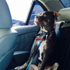 Артём Сергеев, 02.02.1980, Санкт-Петербург