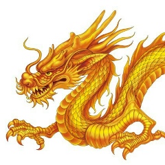 Акыл Бекболотов, 05.05.1993