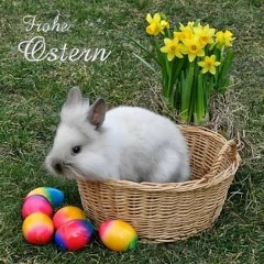 Анна Иванова, 11.03, Санкт-Петербург