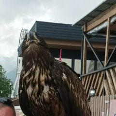 Александр Николаевич