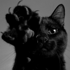 Фёдор Кириди, 02.05, Москва