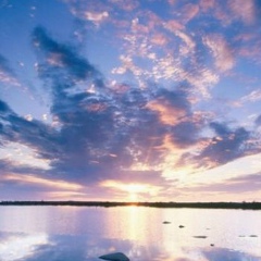 Кристина Онищенко, Донецк