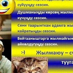 Айбек Туратбекович, 20.11.1988, Каракол