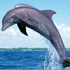 Татьяна Филатова, 28.12, Санкт-Петербург