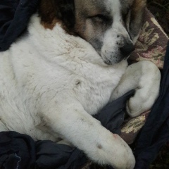 Кира Петрова, 17.02, Санкт-Петербург