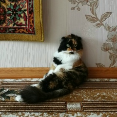 Екатерина Вересовая, 17.09, Гомель