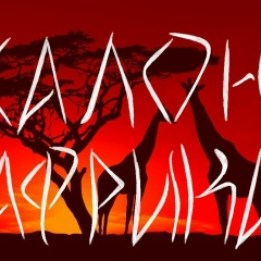 Дарья Полушина