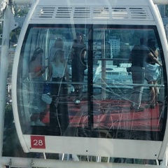 Ольга Ширикова, Вологда